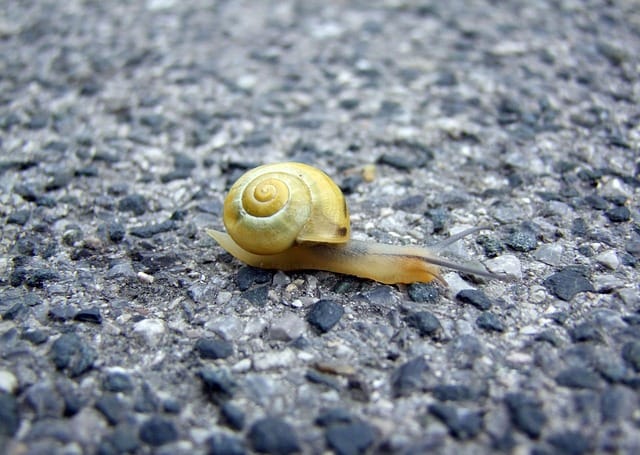 Feeling stuck?